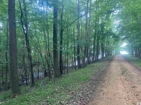 51 E Serenity Shores Rd, Benton, KY 42025