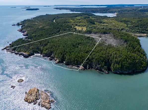 Lot 16 Pettegrow Point Road, Machiasport, ME 04655