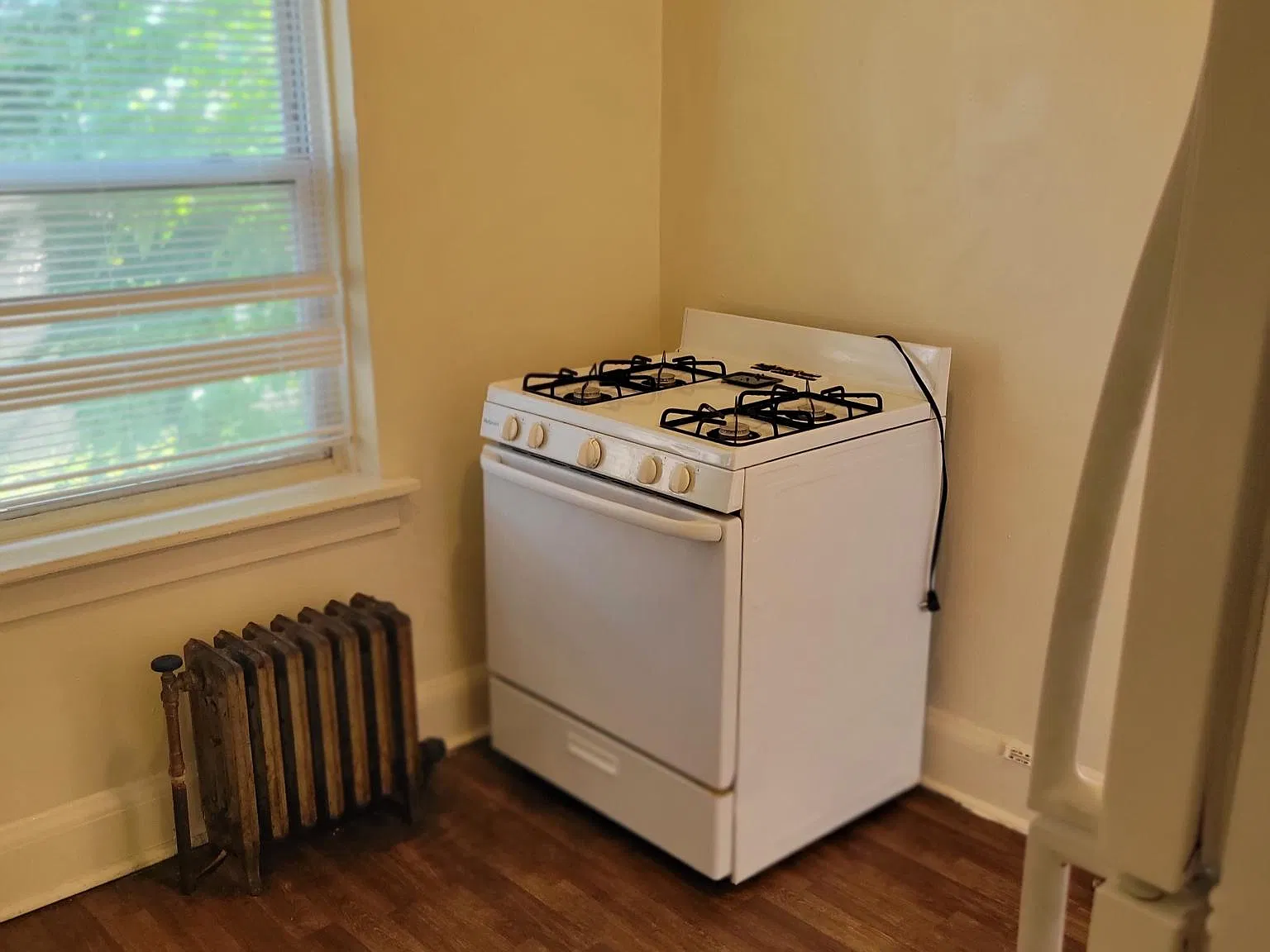 1 bed, $775 — Photo 2