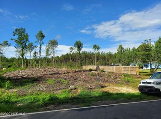 88 Halfway Branch School Rd, Ivanhoe, NC 28447