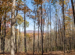 19R Settlement Trl, Ellijay, GA 30536