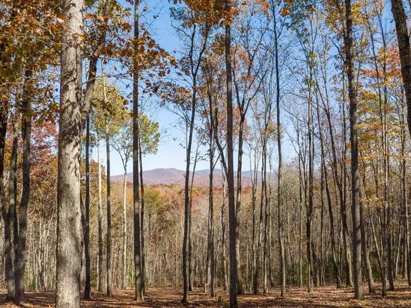 19R Settlement Trl, Ellijay, GA 30536