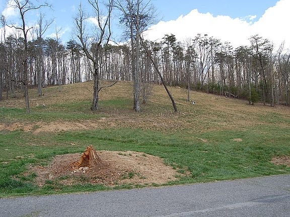 4th image of 0 Bennie Camp Rd