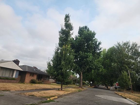 4th image of 1229 19th Ave