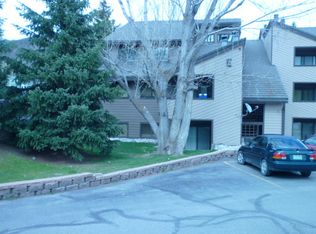 001050 W Beaver Creek Blvd #E101, Avon, CO 81620