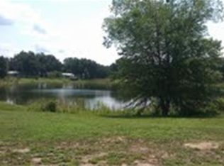 155 E Swanson St, Groveland, FL 34736