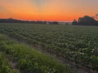 0 Hollis Dairy Rd, Newton, AL 36352