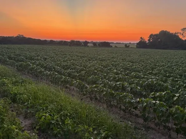 0 Hollis Dairy Rd, Newton, AL 36352