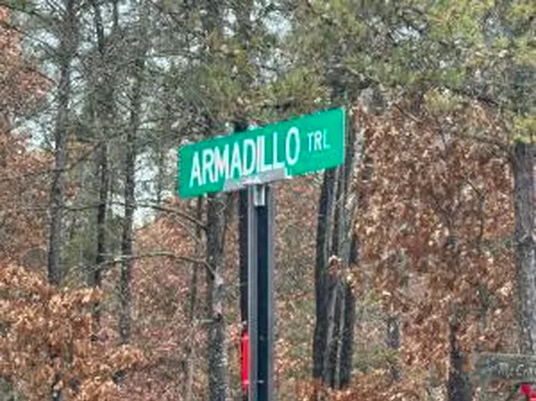 Armadillo Trl, Grayling, MI 49738