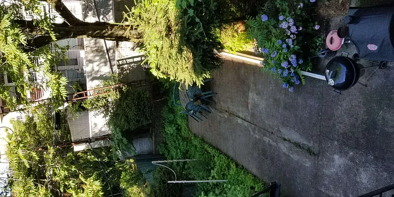 Rented by Virtual Real Estate | media 55