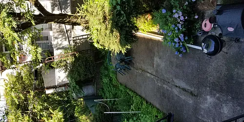 Rented by Virtual Real Estate