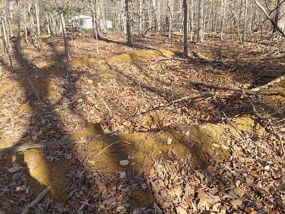 5th image of 7060 Annapolis Woods Rd