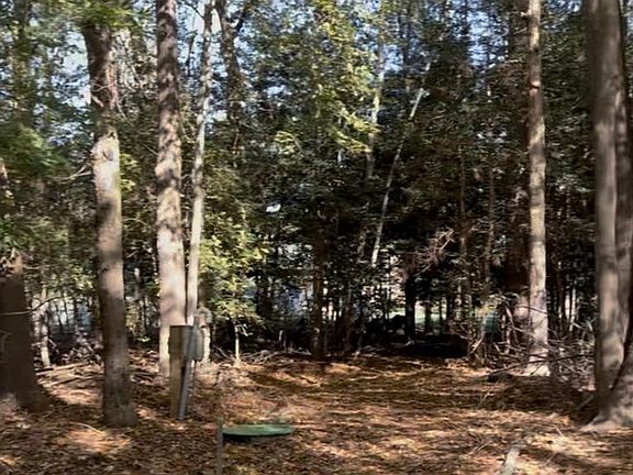 5th image of 24 Manor Dr