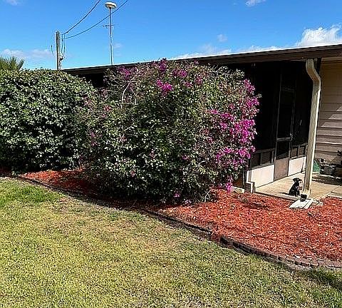 side of house