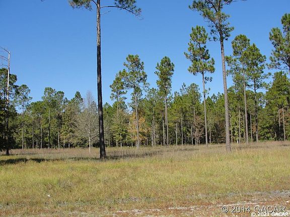 3rd image of Turkey Ridge Dr Lot 29