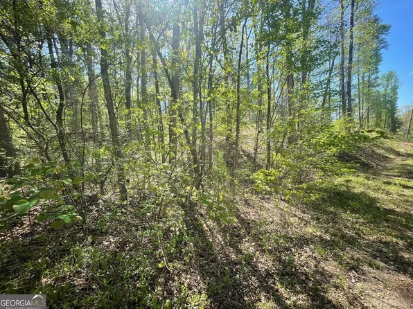 174 Navajo Trl, Martin, GA 30557