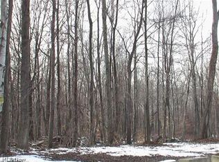 1SL Vincent Dr, Mantua, OH 44255