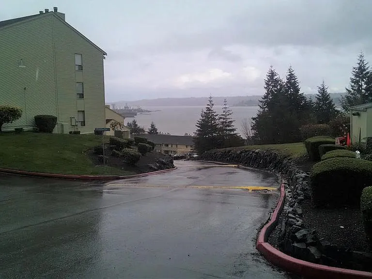 View of Sinclair inlet from property entrance (3rd Street side)