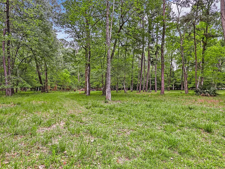 29006 Reserve Bend Dr — Photo 48
