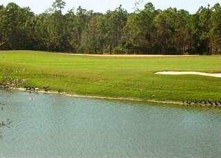 1st image of 8610 Cedar Hammock Cir APT 1221