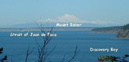 View from the deck!!!!!!!!!!