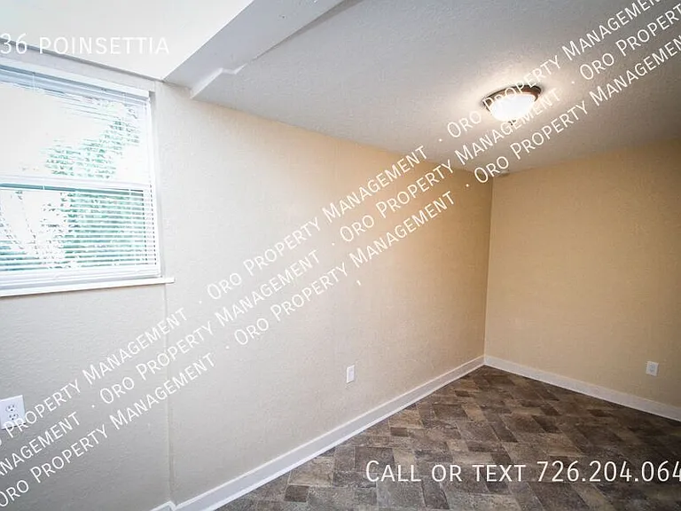 936 Poinsettia — Photo 14