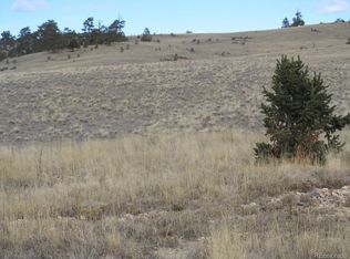 609 Cathy Dr, Hartsel, CO 80449