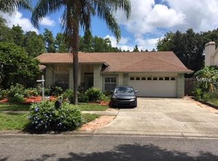 5605 Piney Lane Dr, Tampa, FL 33625