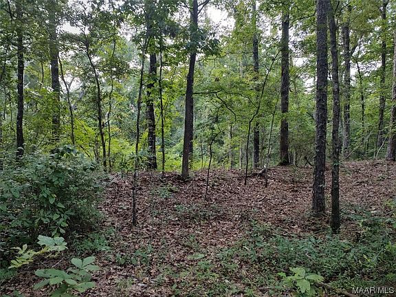 2nd image of 85 Country Ln