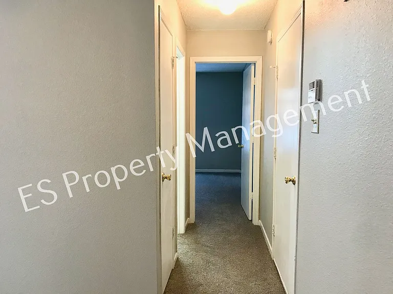 11355 Congaree Way — Photo 30