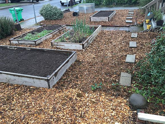 Front yard 