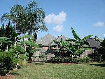 Spacious landscaped backyard with custom kennel space