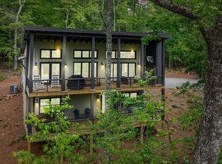171 Cohutta Overlook Ln, Blue Ridge, GA 30513