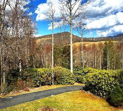 5th image of 38 Trout Rd