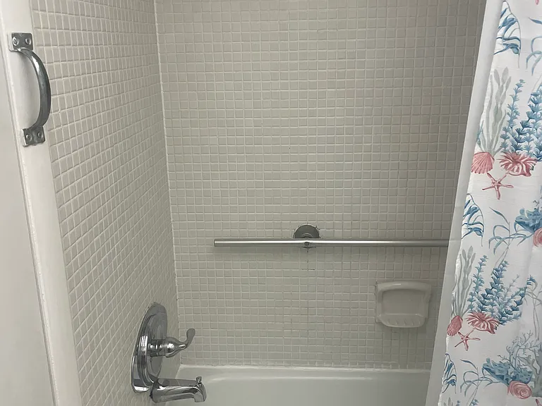 Grab bars in shower