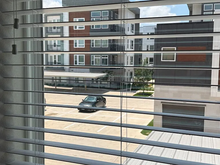 Window View