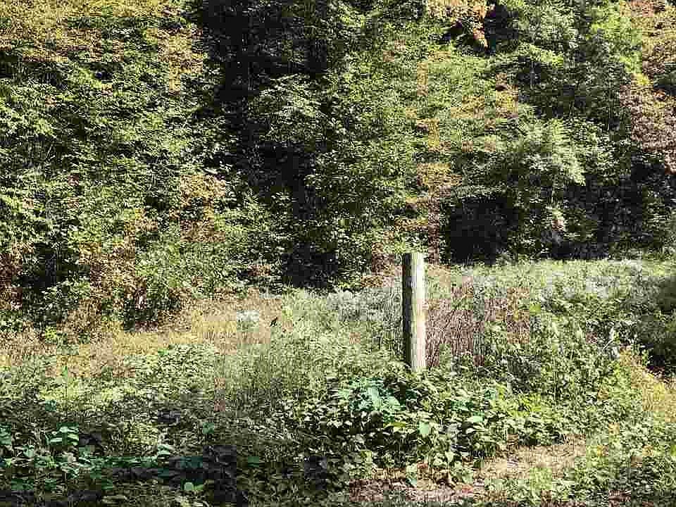 2nd image of Black Branch Rd