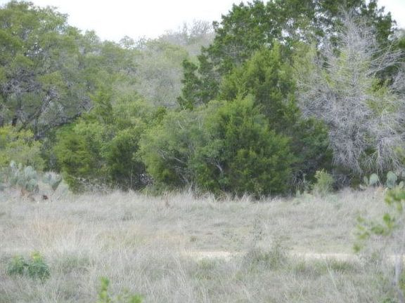 3rd image of 1052 Spanish Trl