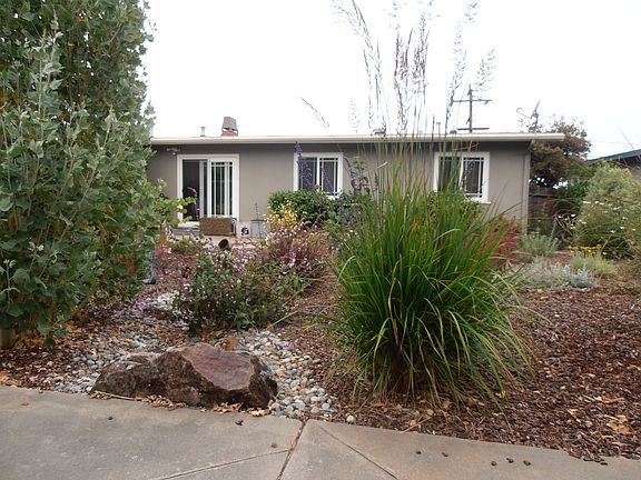 New landscape is on auto drip. Lovely all year round.