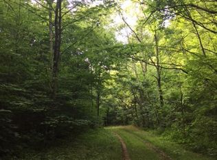 Barger Rd, Parrottsville, TN 37843