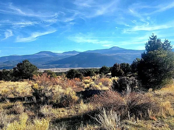 1094 & 1343 Valley View Road, South Fork, CO 81154