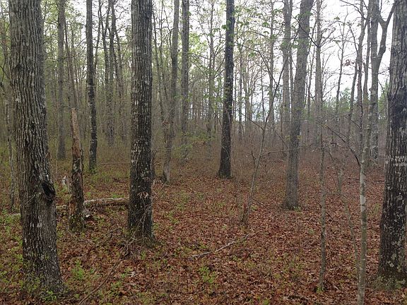 4th image of 664 Sycamore Creek Rd