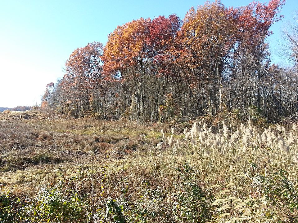 1st image of 99 New Dutch Ln