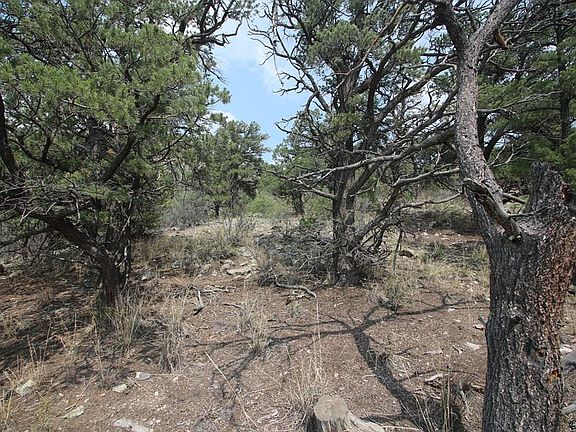 3rd image of 20th Trail