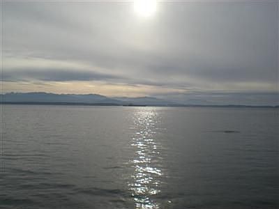 1st image of 2030 Driftwood Way
