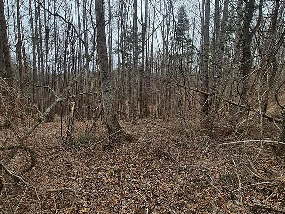 3rd image of 14 Vista Ridge Dr