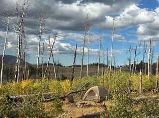 LOT 2518 Shapiro Lane, Fort Garland, CO 81133