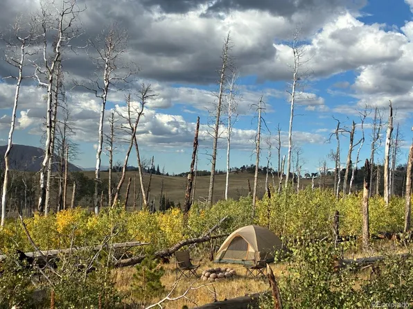 LOT 2518 Shapiro Lane, Fort Garland, CO 81133