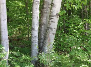 Squaw Lake Rd NE, Kalkaska, MI 49646