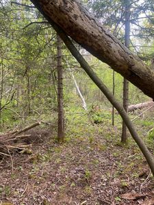 Hebron Townhall Rd, Levering, MI, 49755